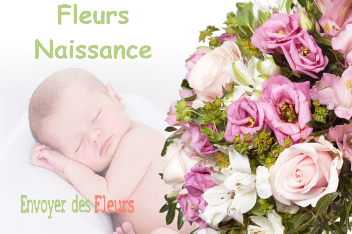 lIVRAISON FLEURS NAISSANCE à CERSOT